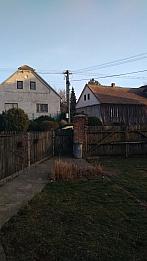 Třibřichy