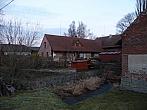 Třibřichy