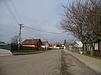 Třibřichy