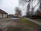 Třibřichy