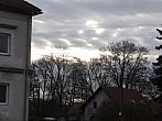 Třibřichy
