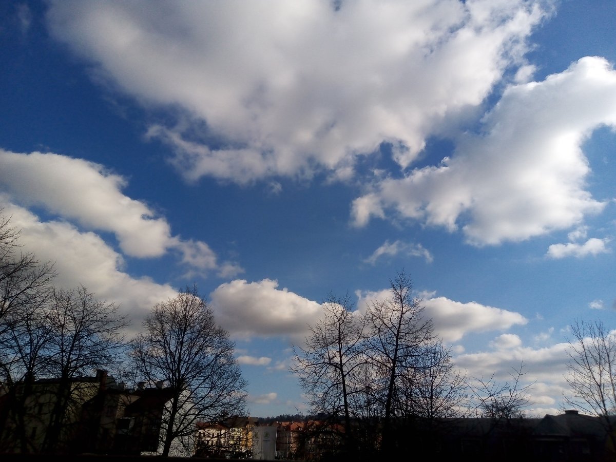 Český Těšín