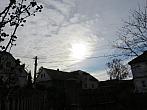 Třibřichy