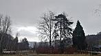 Holčovice