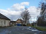 Třibřichy