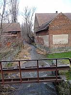 Třibřichy