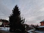 Olešná