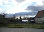 Třibřichy