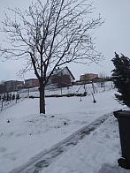 Skalité