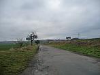 Třibřichy