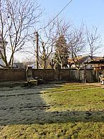 Třibřichy