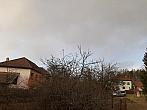 Olešná