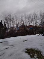 Skalité