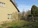 Třibřichy