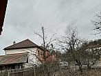 Olešná