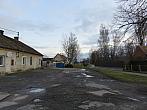 Třibřichy