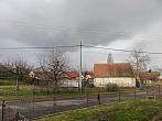 Třibřichy
