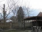 Třibřichy