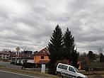 Olešná