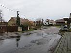 Třibřichy