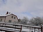 Olešná
