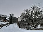 Olešná