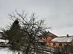 Olešná