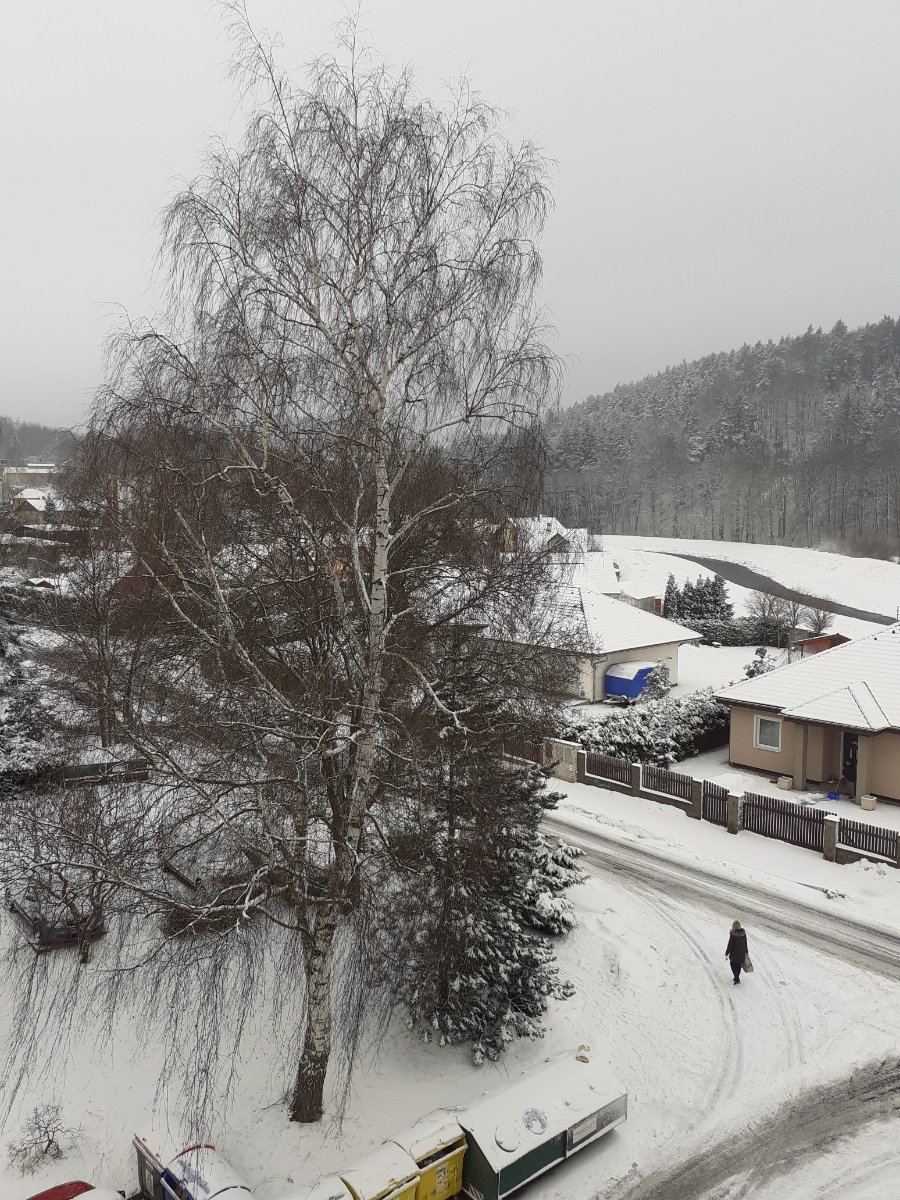 Nová Role