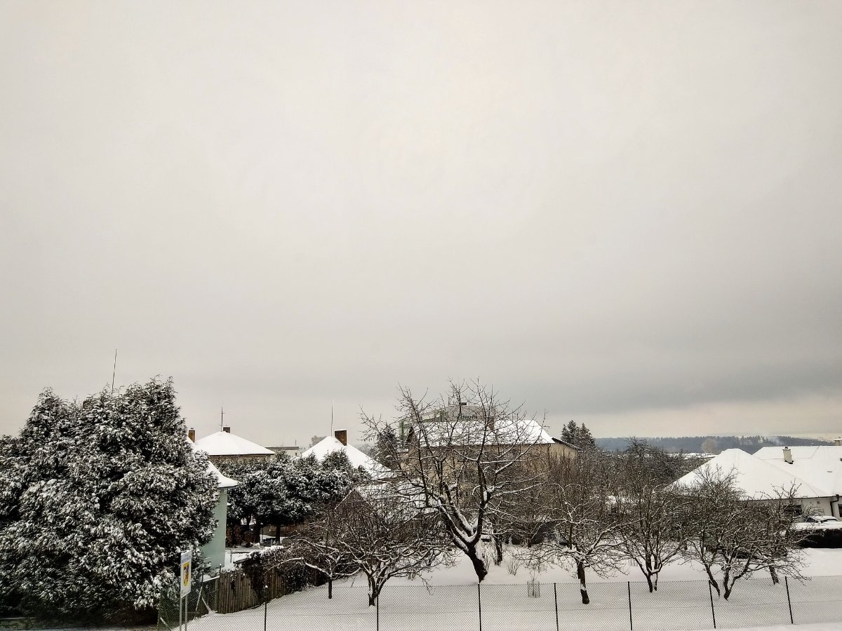 Pacov