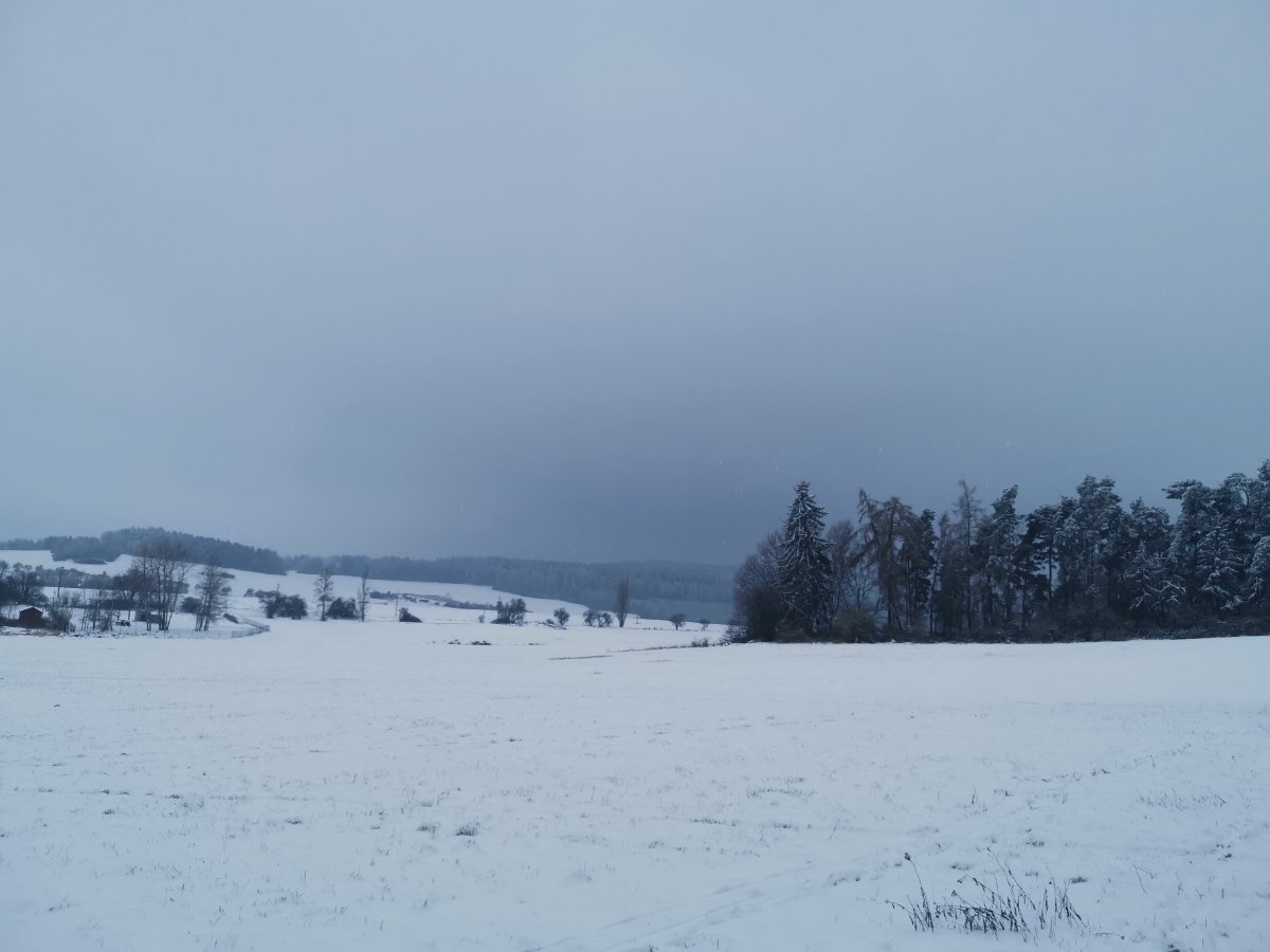 Tachov