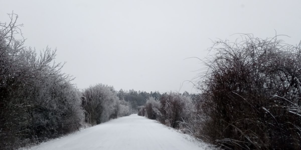 Lukovany