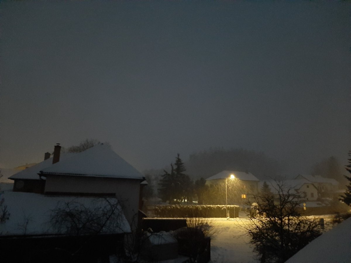 Olešná