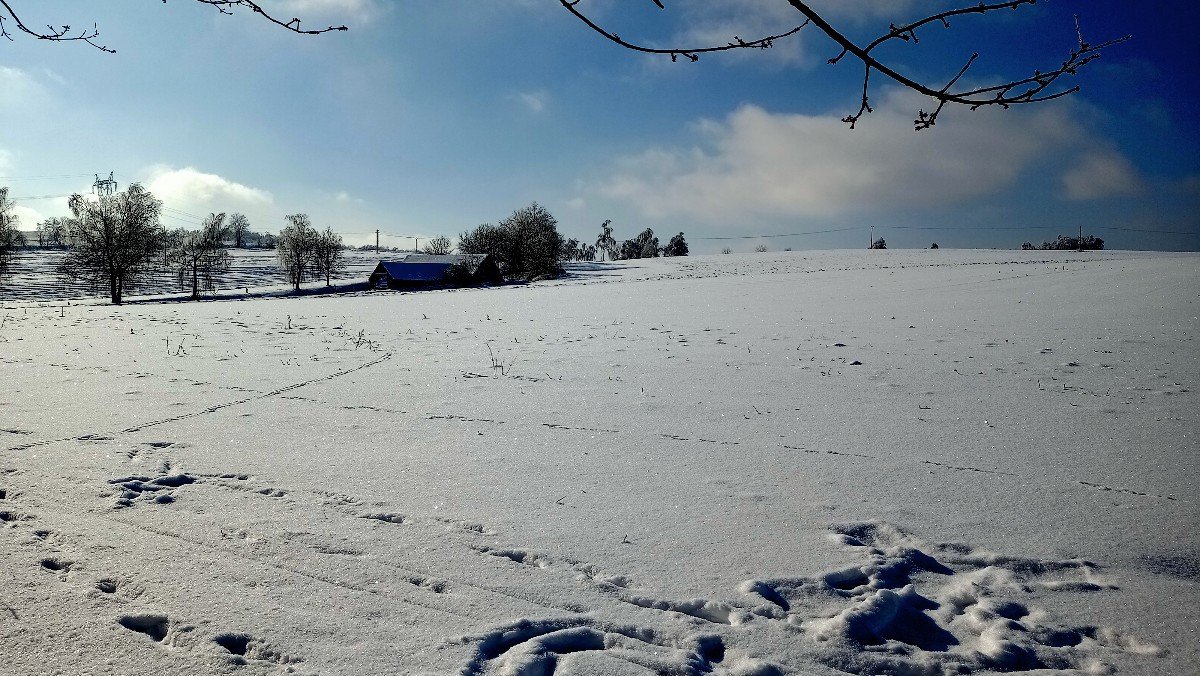 Kunžak