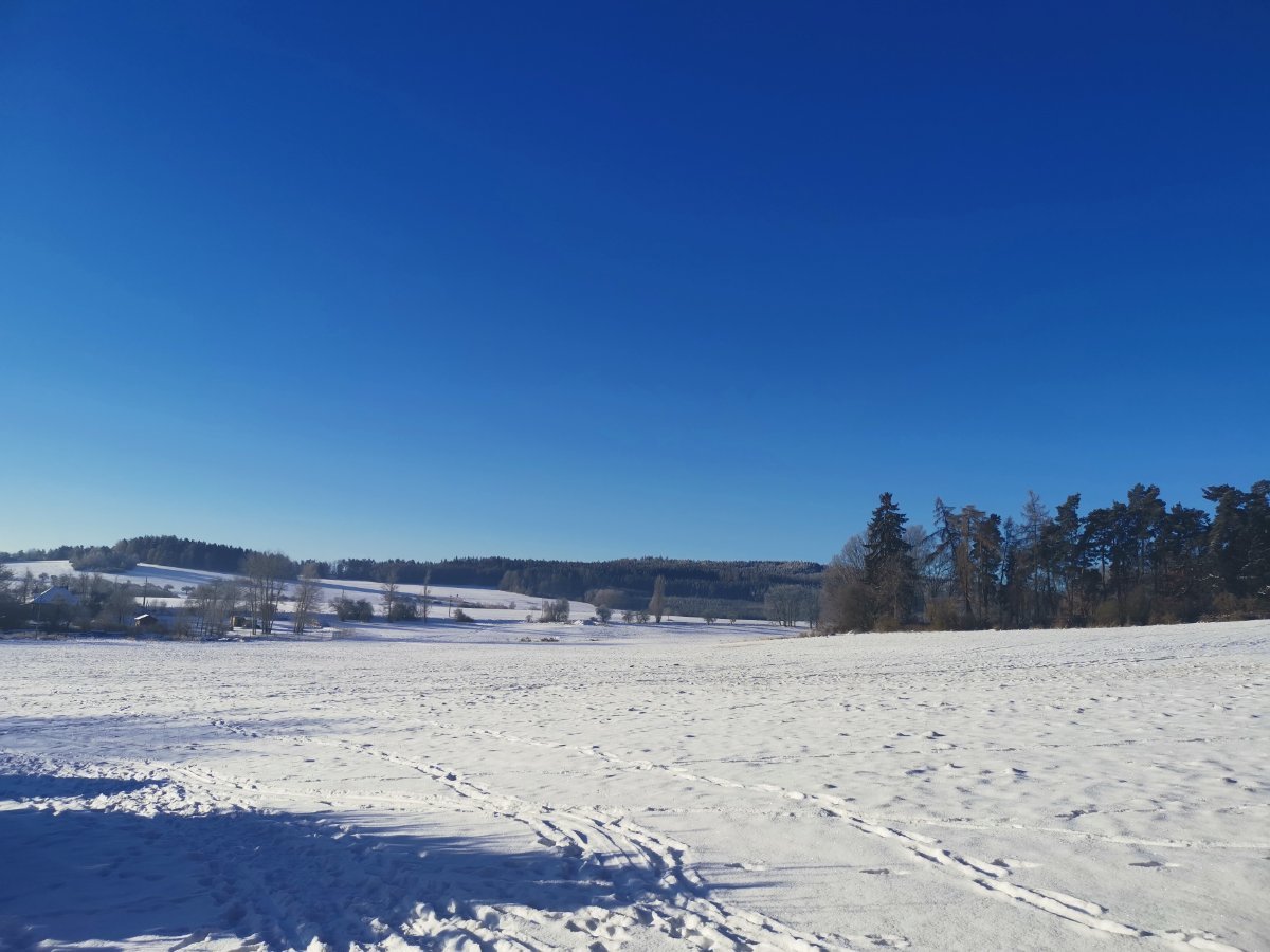 Tachov