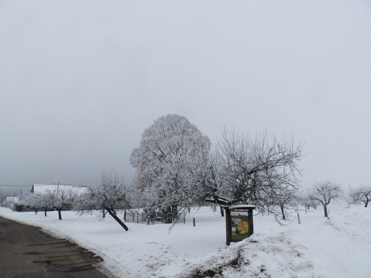 Dětenice-Brodek
