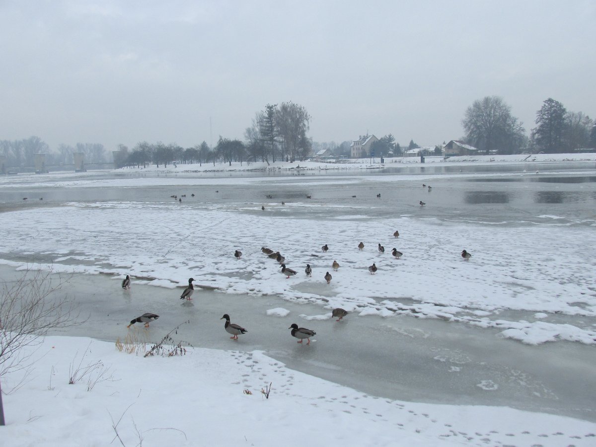 Neratovice