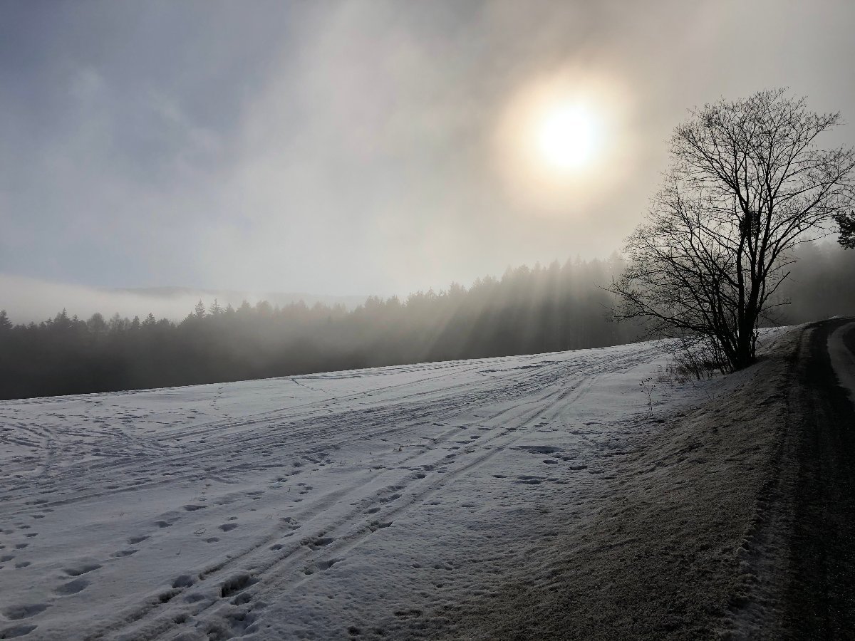Valašské Meziříčí, Podlesí