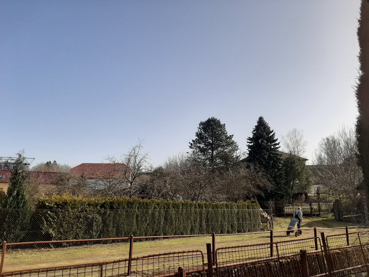 Olešná