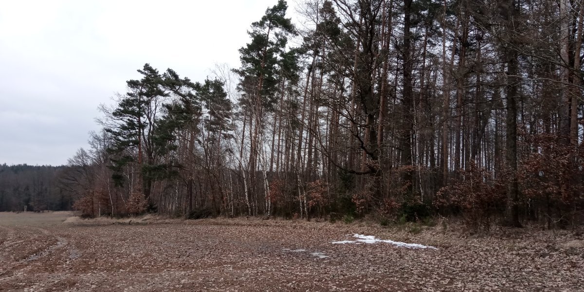Lukovany