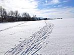 Nový Rychnov