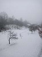 Hvozdnica