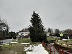 Olešná