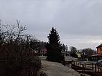 Olešná