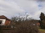 Olešná