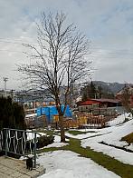 Skalité