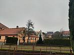 Olešná