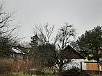 Olešná