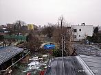 Hořice - Libonice