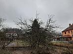 Olešná