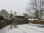 Třibřichy